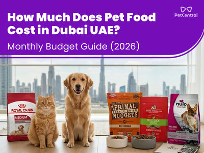 How Much Does Pet Food Cost in Dubai UAE? Monthly Budget Guide (2026)