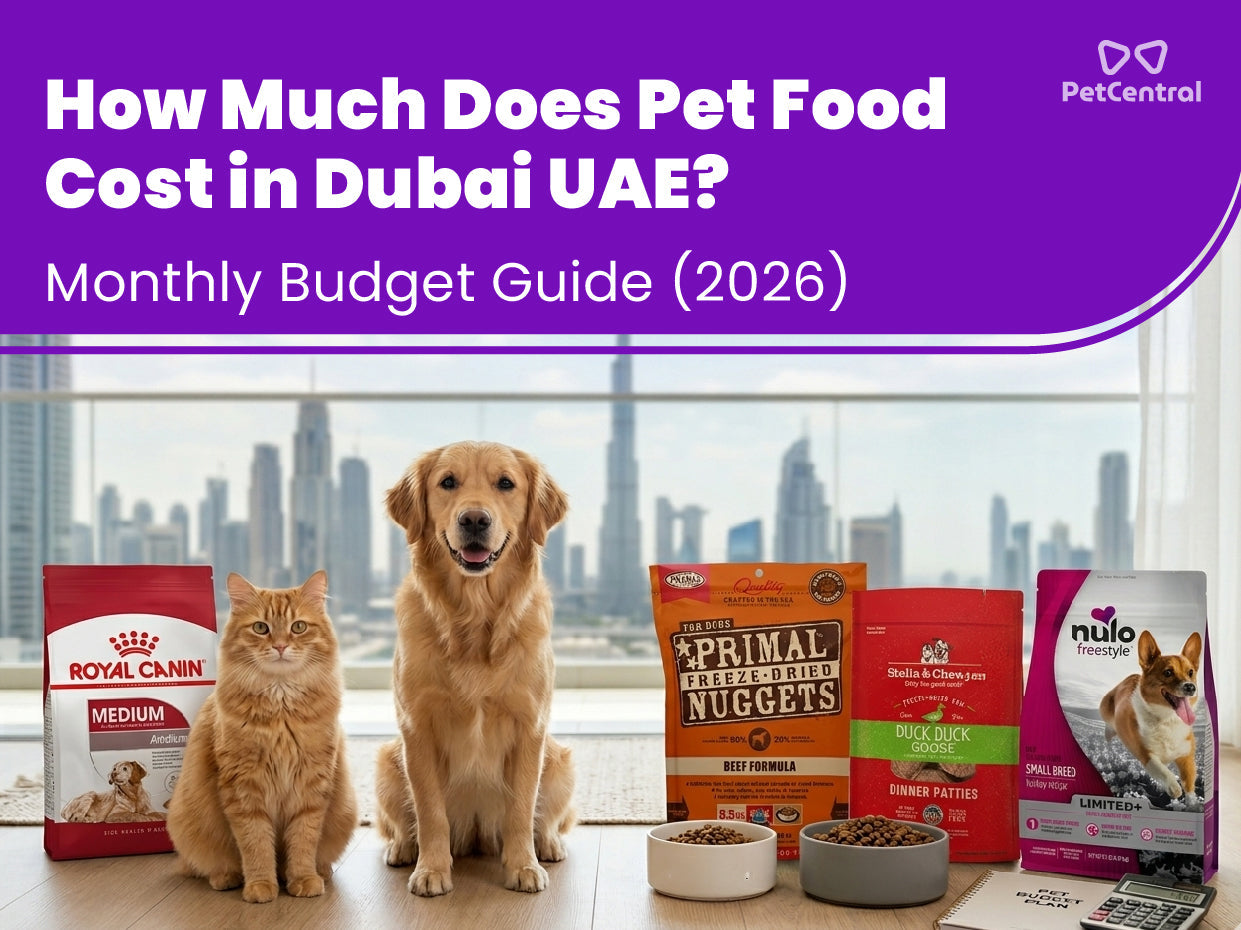 How Much Does Pet Food Cost in Dubai UAE? Monthly Budget Guide (2026)