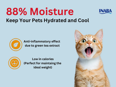 Inaba Churu Safety Guide 2026: How to Store, Serve & Choose the Right Flavor