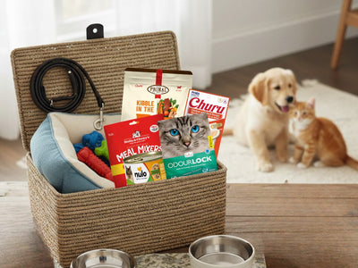 The Ultimate New Pet Owner Checklist - Everything You Need From Day One