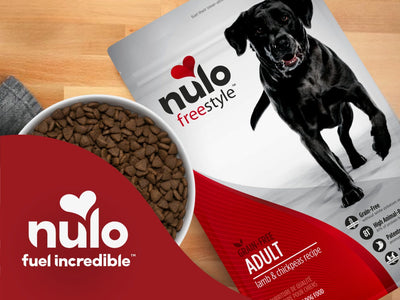 Nulo - Premium Pet Nutrition Now Available at PetCentral UAE