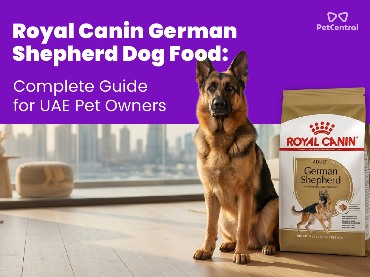 Royal Canin German Shepherd Dog Food: Complete Guide for UAE Pet Owners