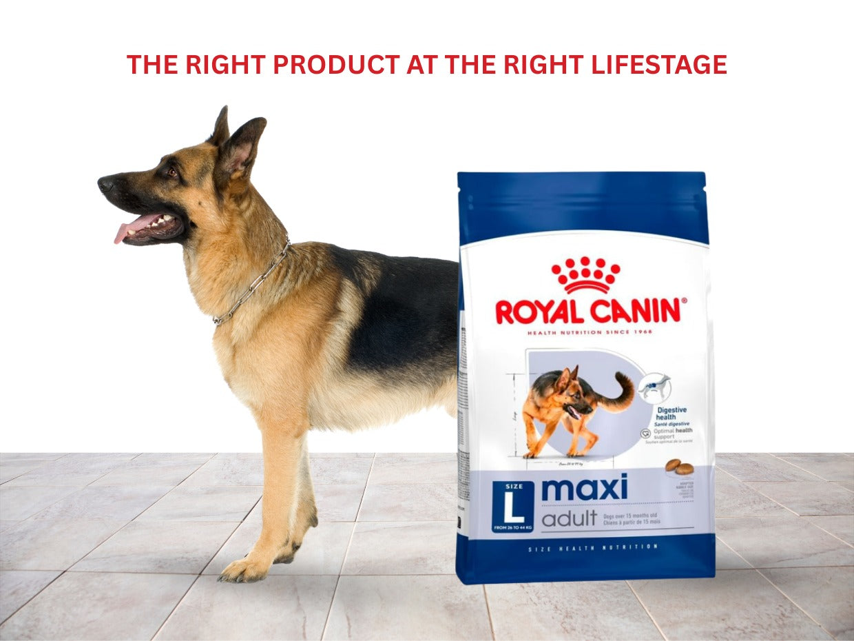 AAFCO Dog Food Standards: What They Mean & Why They Matter