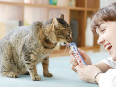 Sensitive Stomach? Senior Pet? Picky Eater? Inaba Has a Treat for Every Pet!