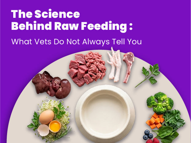 The Science Behind Raw Feeding: What Vets Do Not Always Tell You