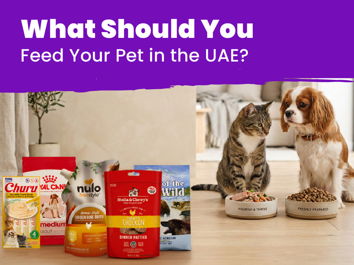 Top 10 Pet Food Brands in UAE