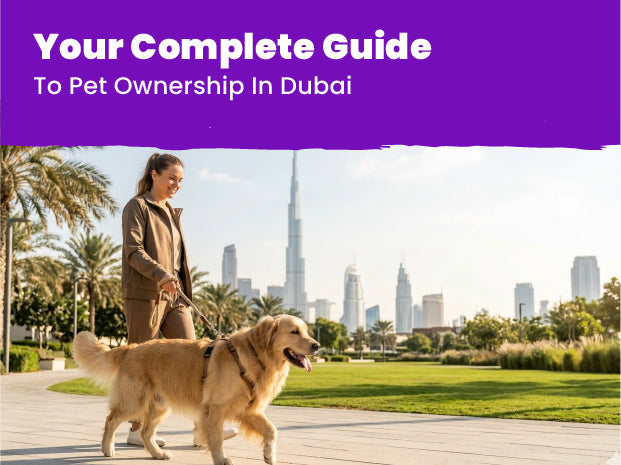 Your Complete Guide to Pet Ownership in Dubai
