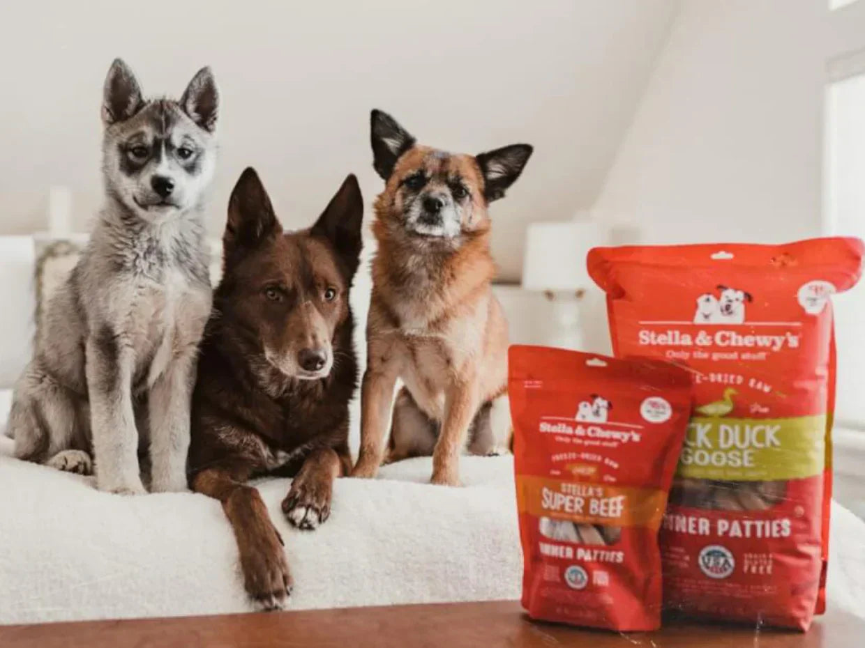Is a RAW Diet Right for Your Dog? A Guide for UAE Pet Parents