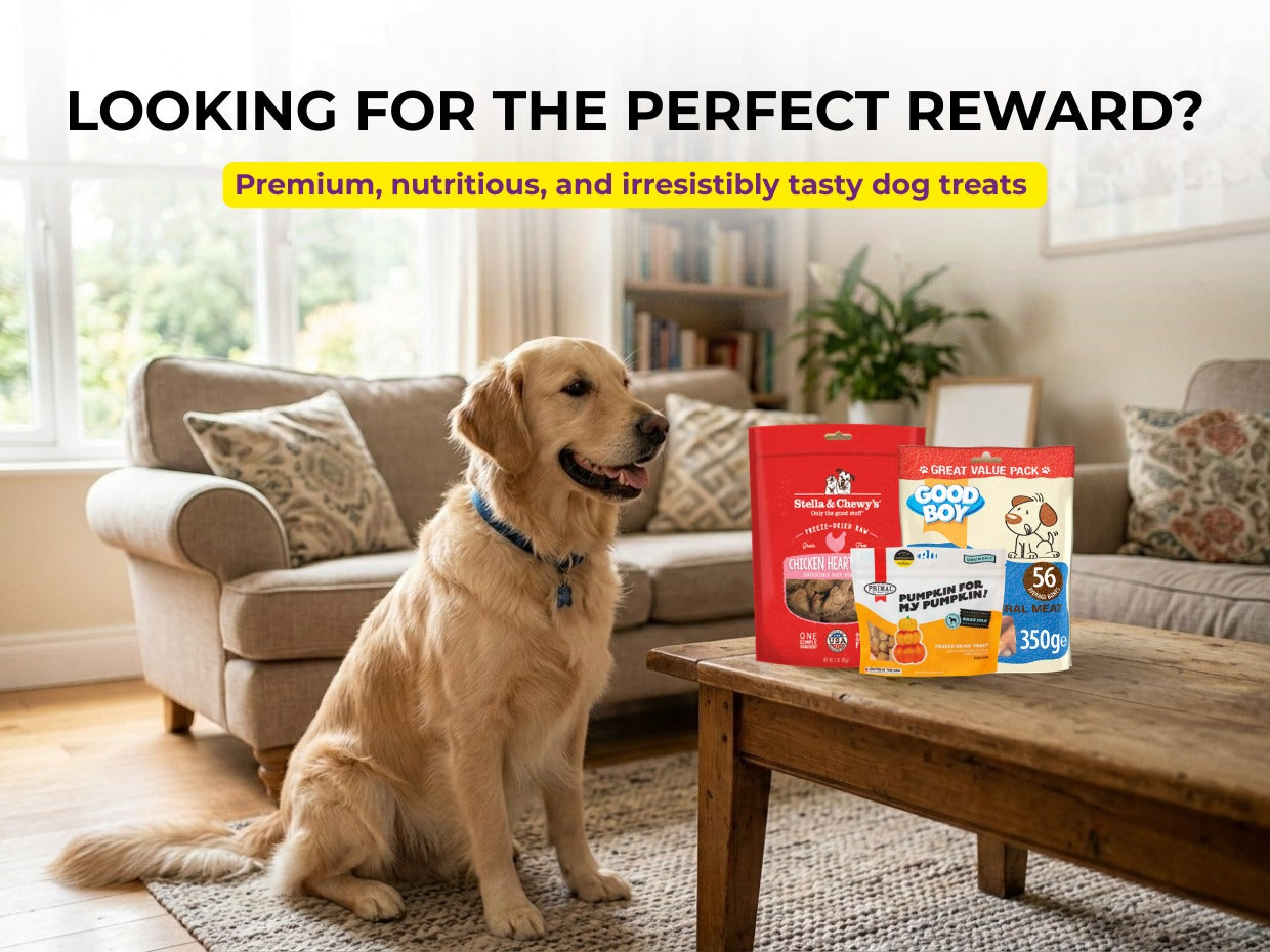 Best Dog Treats to Buy Online in Dubai UAE 2026