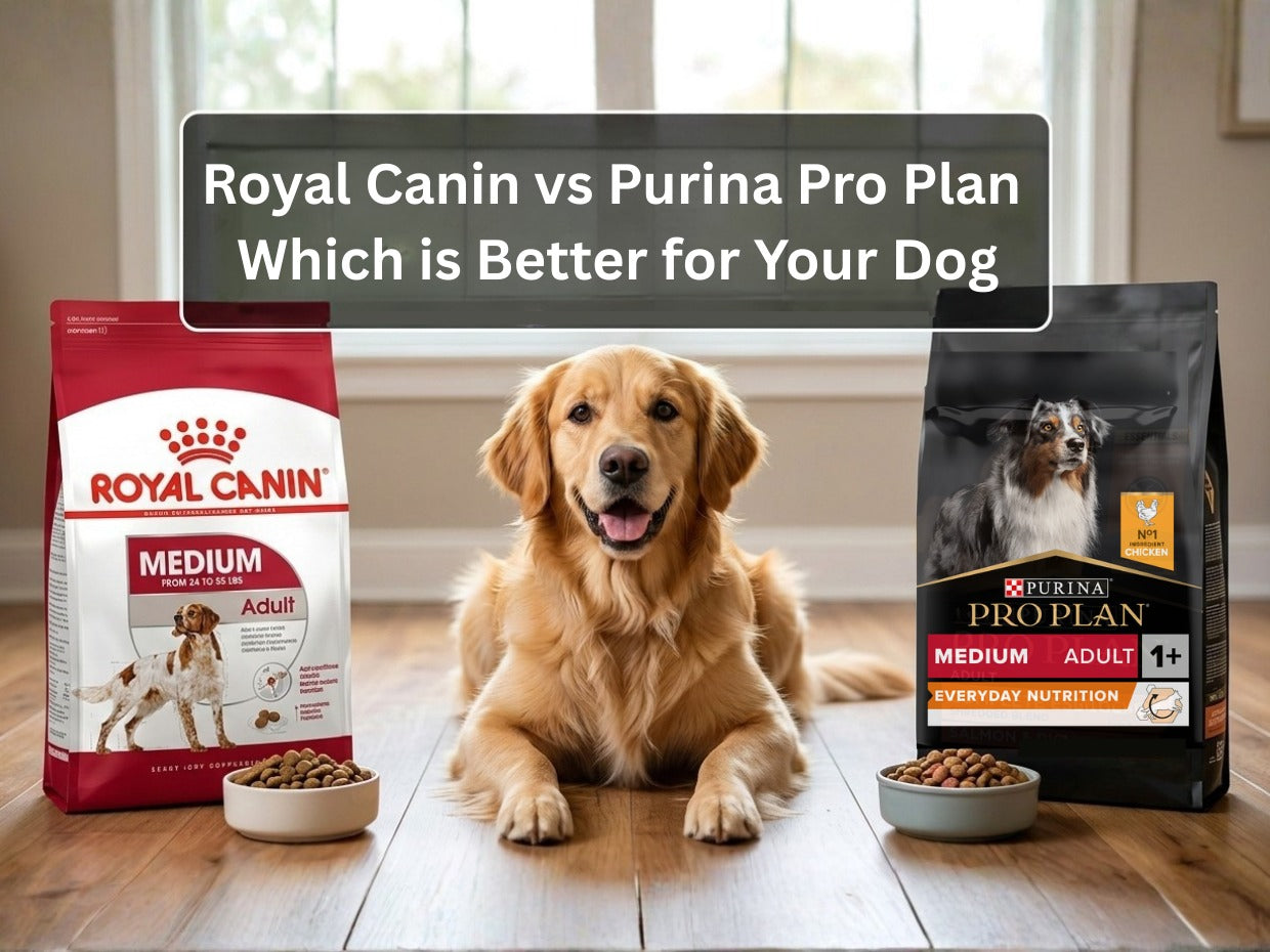 Royal Canin vs Purina Pro Plan: Which is Better for Your Dog