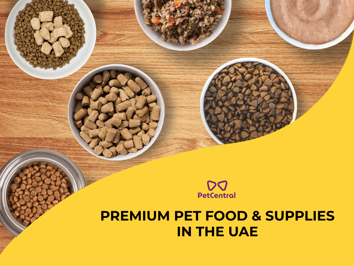 premium pet food brands dubai uae