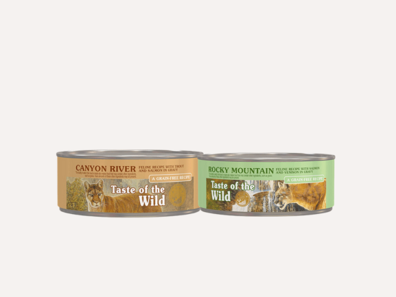 Cat Wet Food