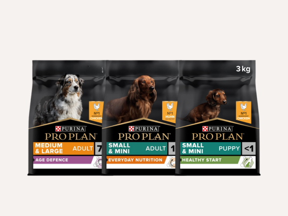 Dog Dry Food