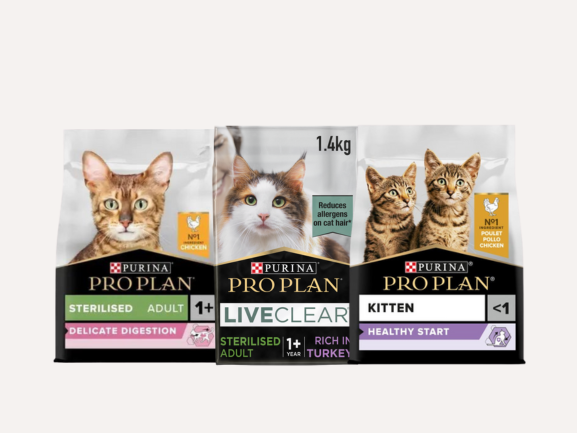 Cat Dry Food