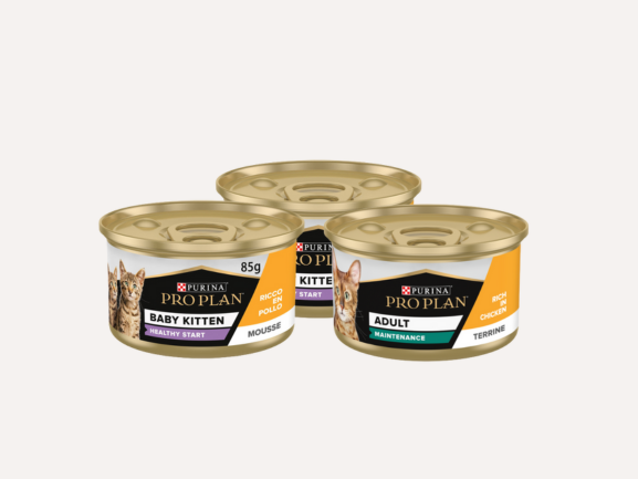 Pate
