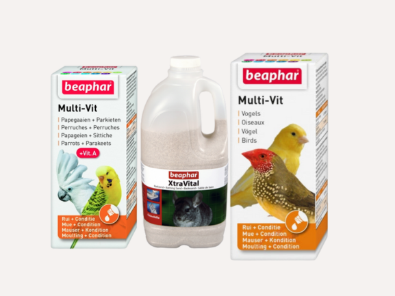 Bird Supplies