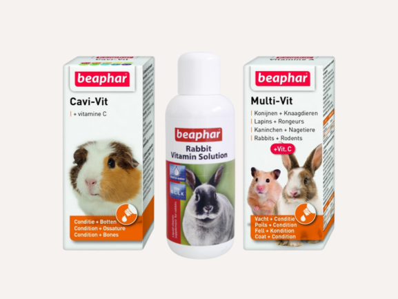 Small Pet Supplies