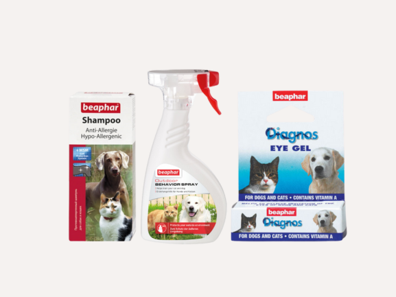Dog | Cat Health & Hygiene