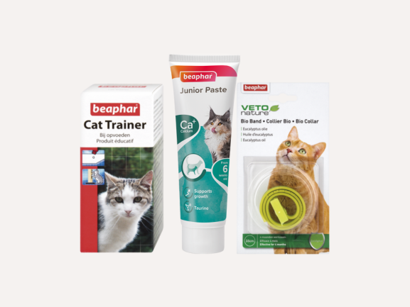 Cat Health & Hygiene