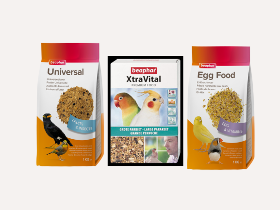 Bird Food & Treats