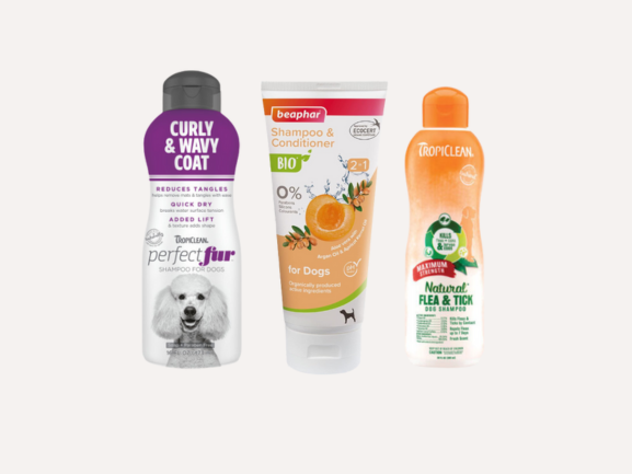 Dog Grooming