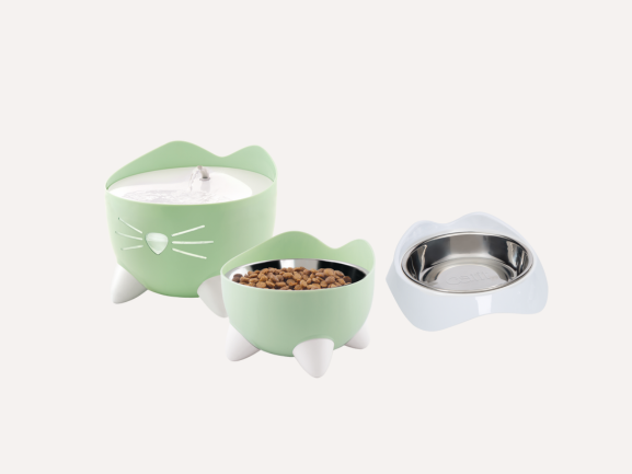 Cat Bowls & Feeders