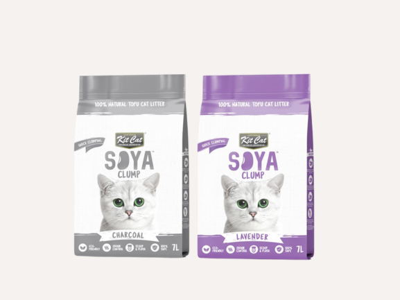 Cat Litter