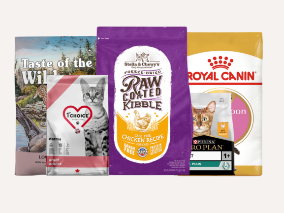 Cat Dry Food