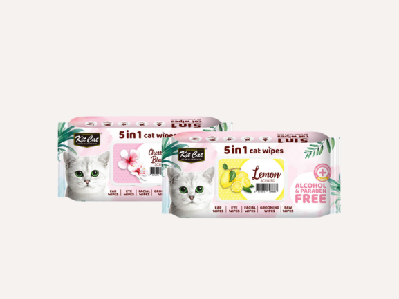 Cat Health & Hygiene