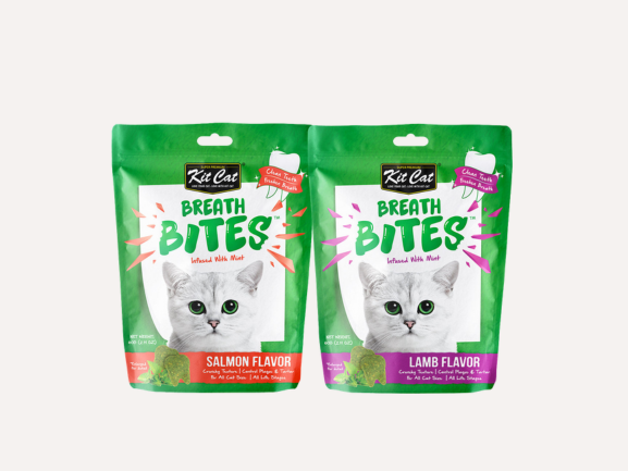 Cat Dental Treat