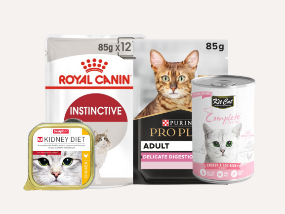 Cat Wet Food