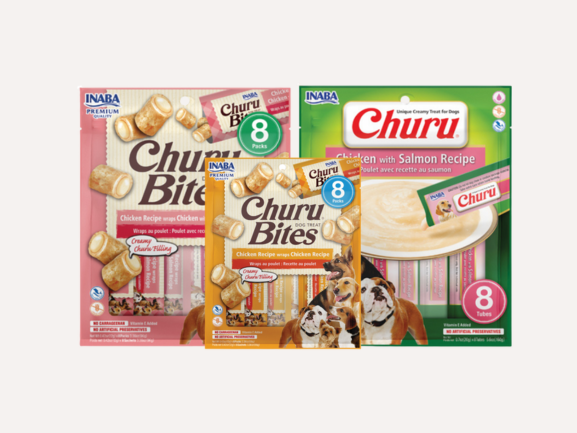 Churu