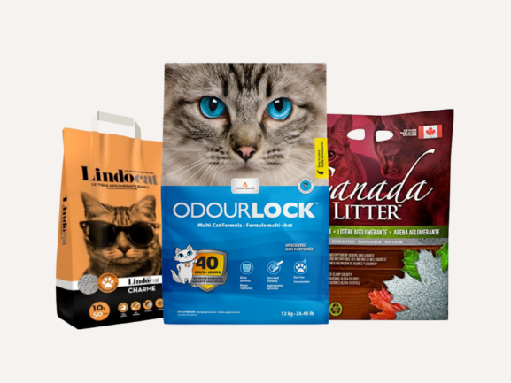 Odour Control