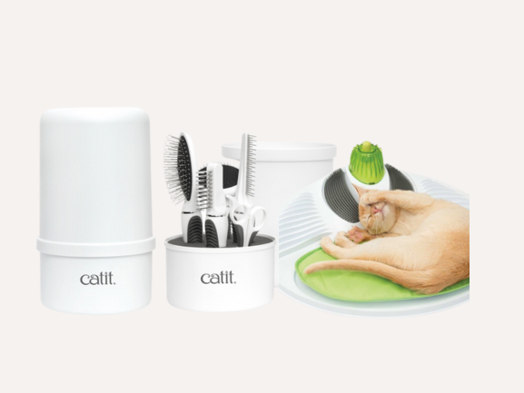 Cat Grooming