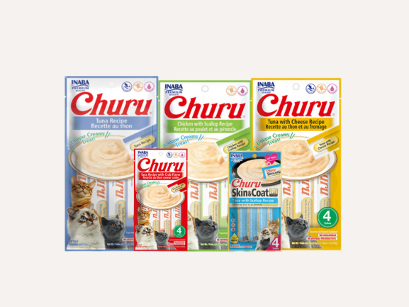 Churu