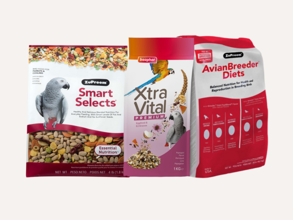Parrot Food