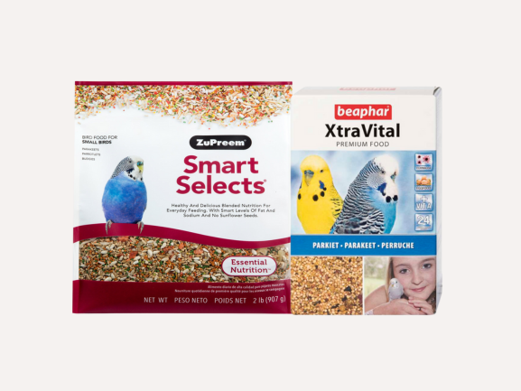 Parakeets Food