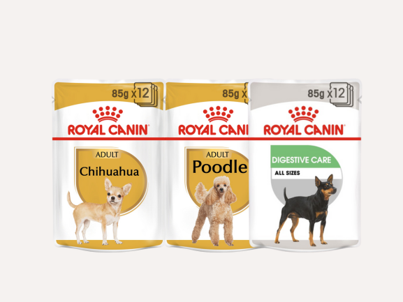 Dog Wet Food