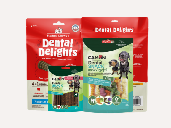 Dental Treat