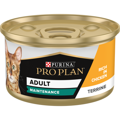 Purina Pro Plan Adult Maintenance, Wet Cat Food, Terrine rich in Chicken,  24 x 85g