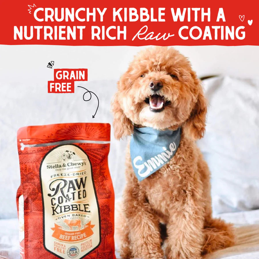 Stella & Chewy's Raw Coated Beef Recipe-1.6Kg
