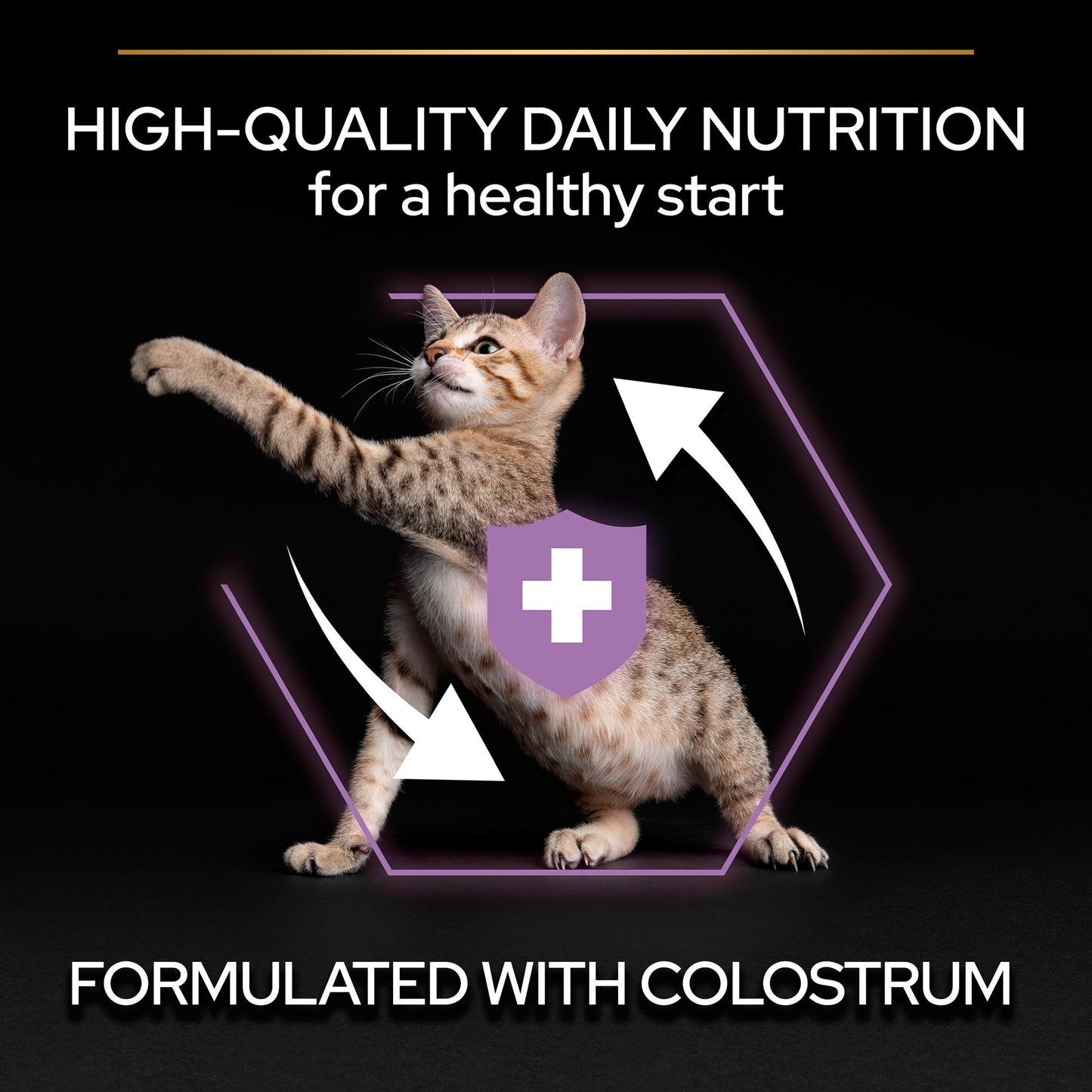 Purina Pro Plan Kitten  Dry Cat Food with Chicken