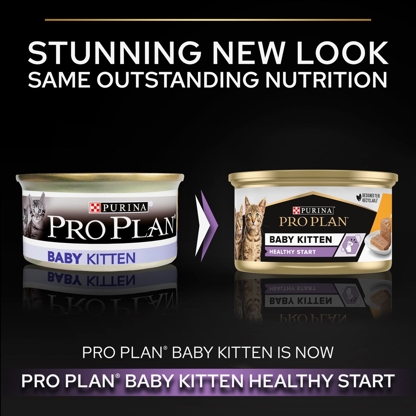Purina Pro Plan Baby Kitten Mousse with Chicken, 85g (24 cans)