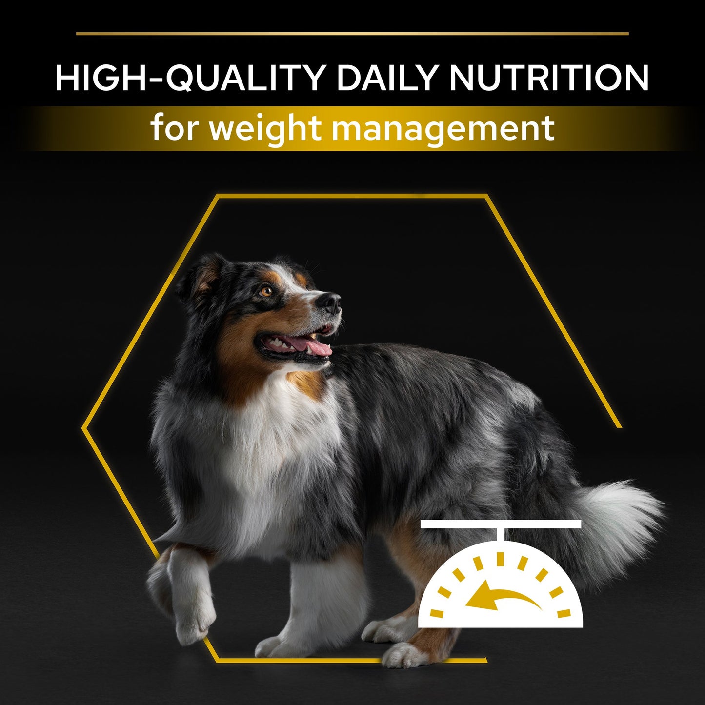 Purina Pro Plan Light All Sizes Adult, Dry Dog food with Chicken