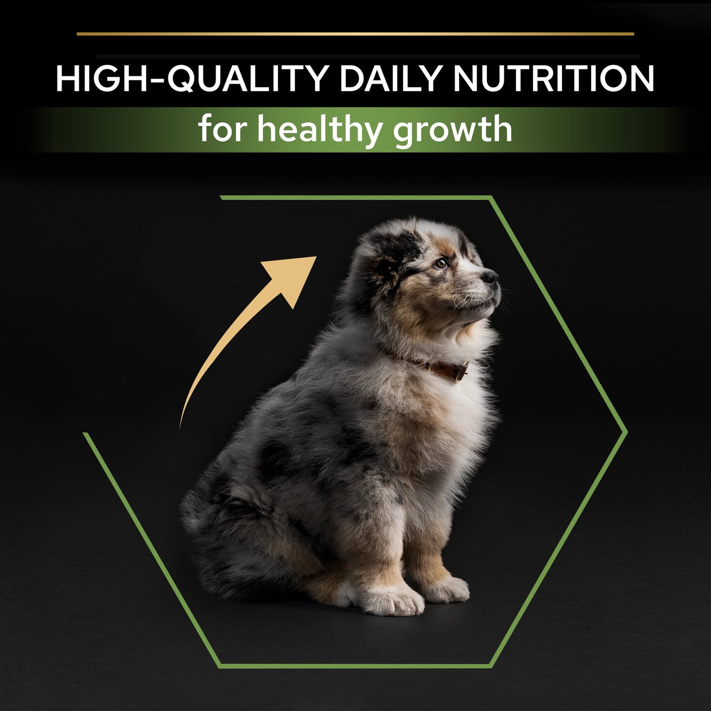 Purina Pro Plan Medium Puppy, Dry Dog food with Chicken