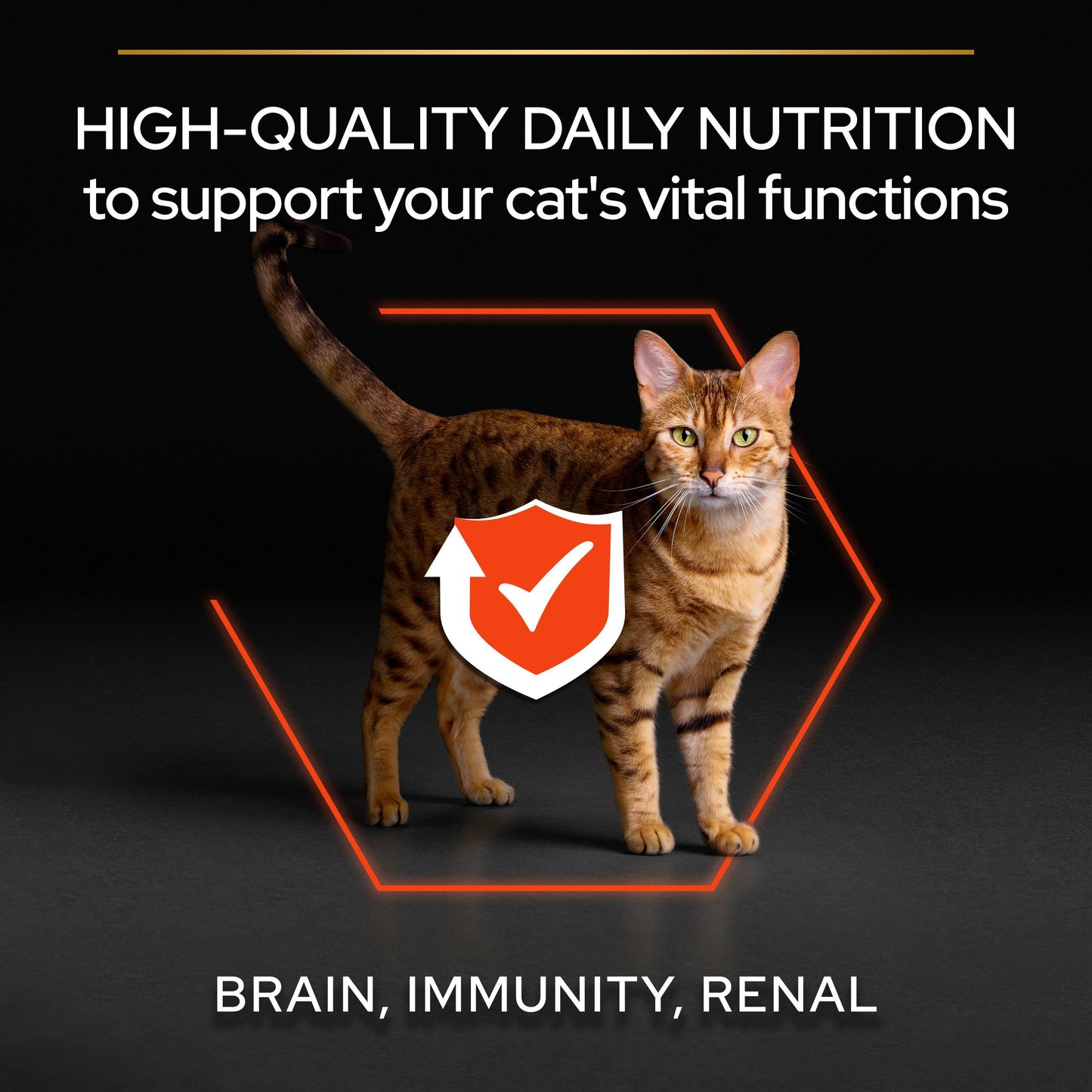 Purina Pro Plan Adult Vital Functions Everyday Dry Cat Food with Salmon