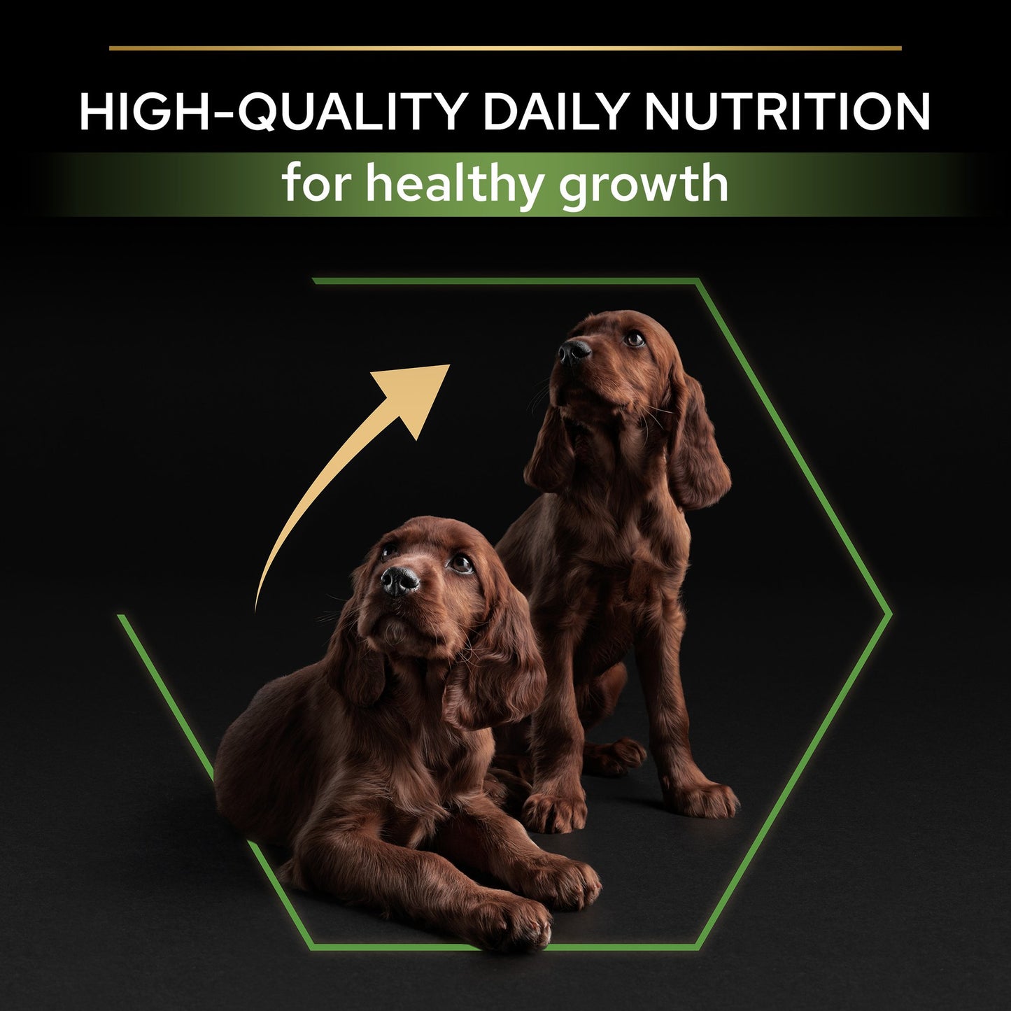 Purina Pro Plan Large Athletic Puppy, Dry Dog food with Chicken