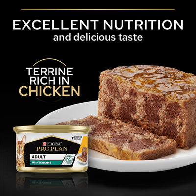Purina Pro Plan Adult Maintenance, Wet Cat Food, Terrine rich in Chicken,  24 x 85g