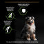 Purina Pro Plan Medium Puppy, Dry Dog food with Chicken