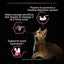 Purina Pro Plan Delicate Digestion Wet Cat Food, Turkey in Gravy, 85g (26 pouches)